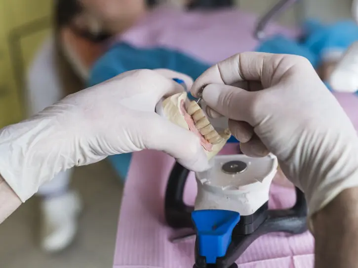 Odontologia